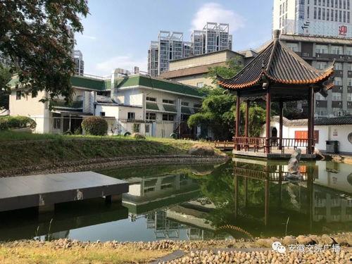 吃瓜南宁交院,校园风云再起，真相揭秘