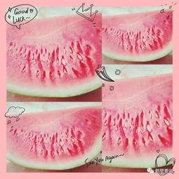 鹤壁市女孩吃瓜,揭秘网络热议背后的真相