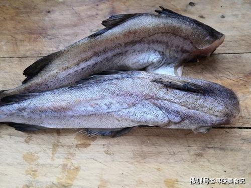 瓜哥吃瓜绿头鱼图片高清,高清美图尽展鱼香诱惑