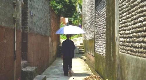 围墙吃瓜事件,一场引发社会热议的公共道德风波